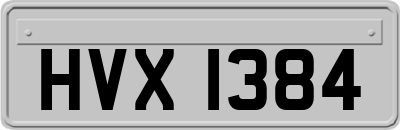 HVX1384