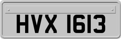HVX1613
