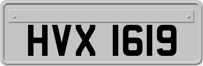 HVX1619