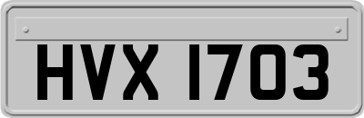 HVX1703