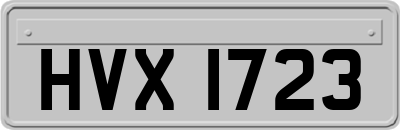 HVX1723