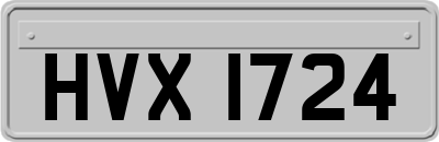 HVX1724