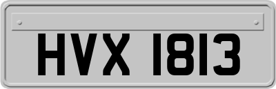 HVX1813