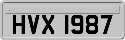 HVX1987