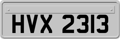 HVX2313
