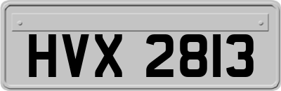 HVX2813