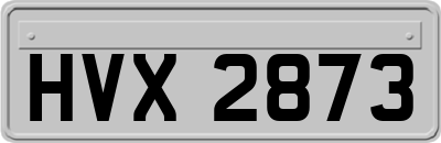 HVX2873