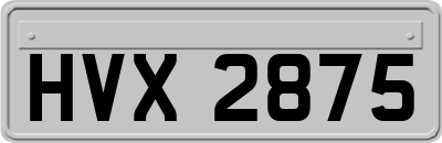 HVX2875