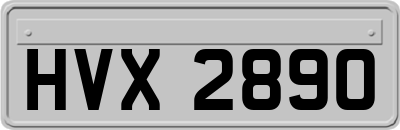 HVX2890