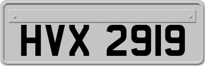 HVX2919