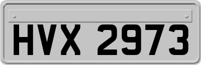 HVX2973
