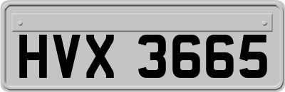 HVX3665