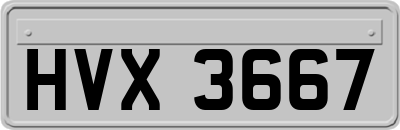 HVX3667