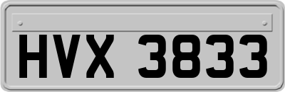 HVX3833