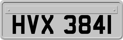 HVX3841