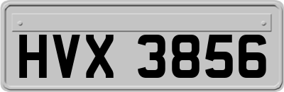HVX3856