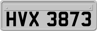 HVX3873