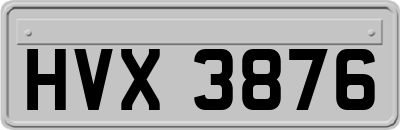 HVX3876