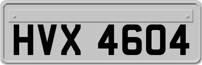 HVX4604