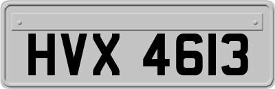 HVX4613