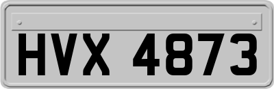 HVX4873