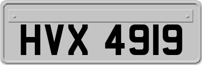 HVX4919