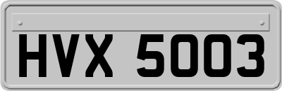 HVX5003