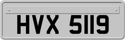 HVX5119