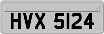HVX5124