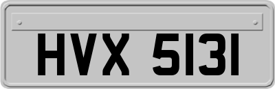 HVX5131