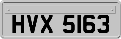 HVX5163