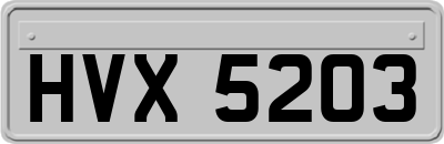 HVX5203