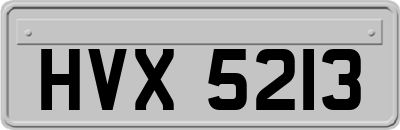 HVX5213