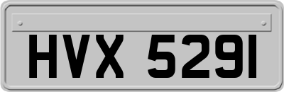 HVX5291