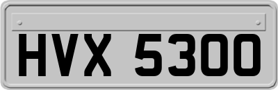 HVX5300