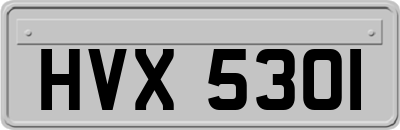 HVX5301