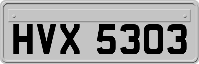 HVX5303