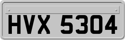 HVX5304