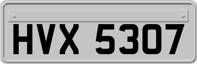 HVX5307