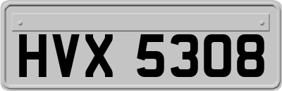 HVX5308