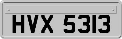 HVX5313