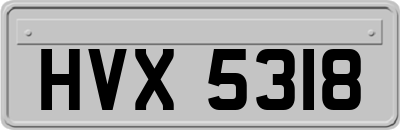 HVX5318