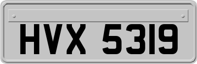 HVX5319