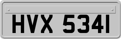 HVX5341