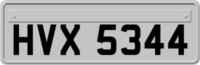 HVX5344
