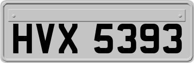 HVX5393
