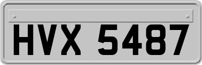 HVX5487