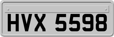 HVX5598