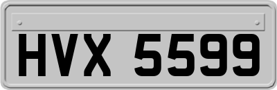 HVX5599