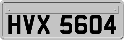 HVX5604